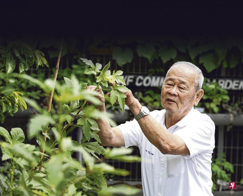 黄芳工业许多业务都由第二代打理,但创始人刘吉富还是每天早上8时就进办公室,先给天台菜园里的蔬菜浇水,再开始查阅电邮。(龙国雄摄) 黄芳工业许多业务都由第二代打理,但创始人刘吉富还是每天早上8时就进办公室,先给天台菜园里的蔬菜浇水,再开始查阅电邮。(龙国雄摄)