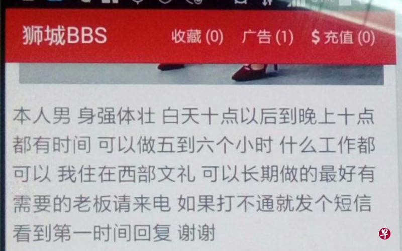 ▲一些外劳在“狮城BBS”或微信等社交媒体平台上登广告找工作,而非法团伙就聘用他们运送漏税香烟。(新加坡关税局提供) ▲一些外劳在“狮城BBS”或微信等社交媒体平台上登广告找工作,而非法团伙就聘用他们运送漏税香烟。(新加坡关税局提供)