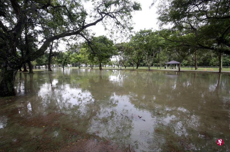昨天上午9时30分至11时,多地下起滂沱大雨,东海岸公园的草坪积满雨水,深度淹过脚踝,仿佛凭空出现池塘。(邝启聪摄) 昨天上午9时30分至11时,多地下起滂沱大雨,东海岸公园的草坪积满雨水,深度淹过脚踝,仿佛凭空出现池塘。(邝启聪摄)