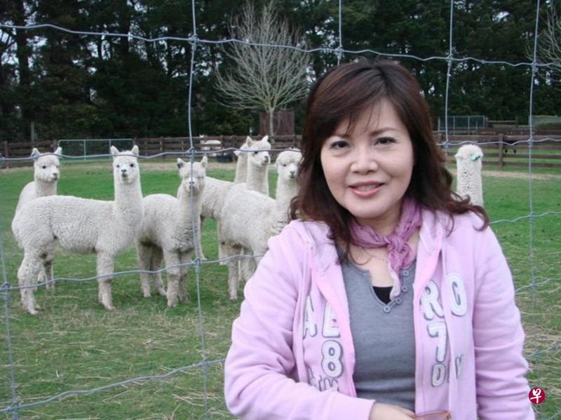 龙飘飘出版过91张专辑,当中有约20张是贺岁专辑。(档案照) 龙飘飘出版过91张专辑,当中有约20张是贺岁专辑。(档案照)