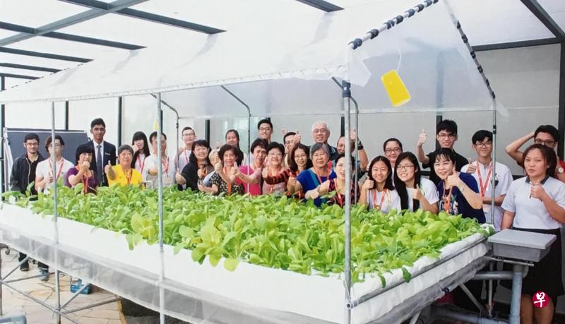 柯受恩(中,白发者)和其他学员通过“我的首个绿色收 成”课程学习如何以水培法种植如生菜及白菜等蔬菜。(受访者提供) 柯受恩(中,白发者)和其他学员通过“我的首个绿色收 成”课程学习如何以水培法种植如生菜及白菜等蔬菜。(受访者提供)