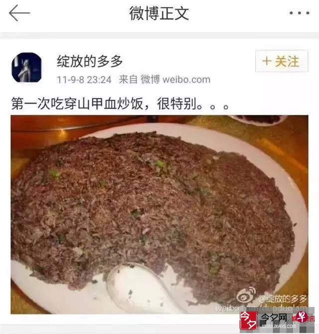 女网友在微博宣称曾吃穿山甲血炒饭。(互联网) 女网友在微博宣称曾吃穿山甲血炒饭。(互联网)
