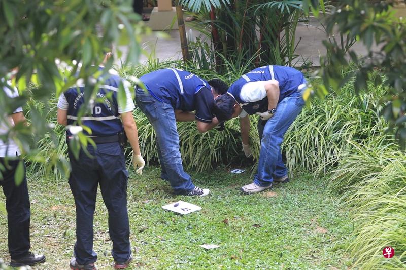 警方在事发单位楼下的草地找到多件证物。(档案照片) 警方在事发单位楼下的草地找到多件证物。(档案照片)