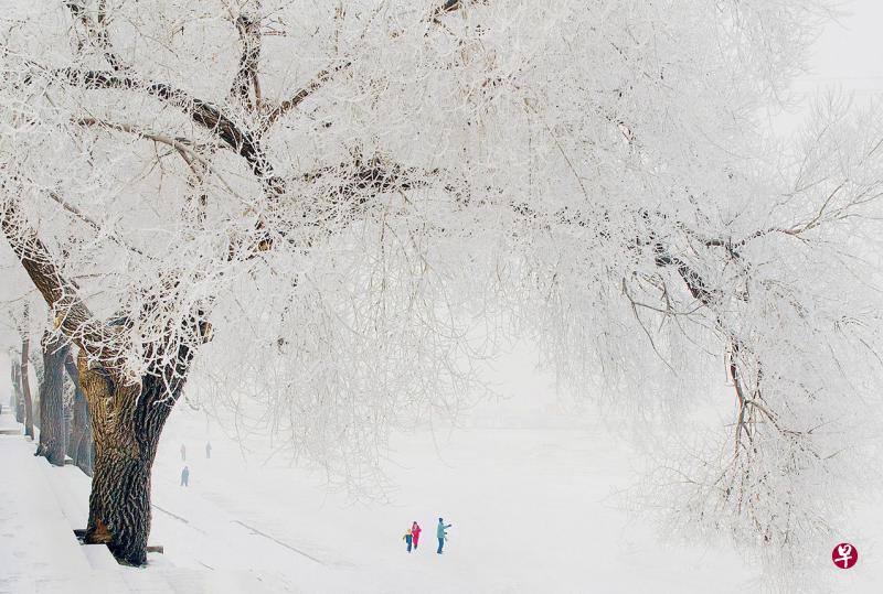 哈尔滨冰天雪地上的一抹缤纷色彩。 哈尔滨冰天雪地上的一抹缤纷色彩。