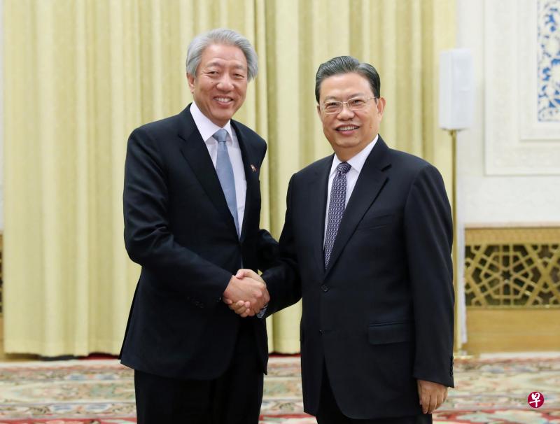 正在北京访问的新加坡副总理张志贤（左），昨天在人民大会堂会见中共中央政治局委员、中组部部长赵乐际。（新华社）