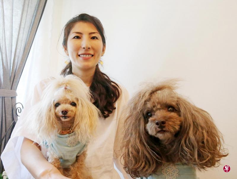 宠物犬治疗师Kay West的爱犬，Belle（右）和Snowy都是训练有素的治疗犬，能够帮助慢性病患及弱势小孩改善身心健康。