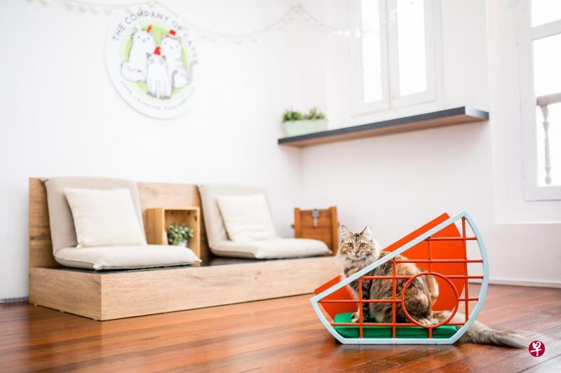 3. 怀旧游乐场猫沙发。 3. 怀旧游乐场猫沙发。