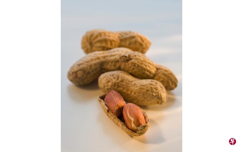 花生营养丰富,但因热量高不宜多吃。(档案照) 花生营养丰富,但因热量高不宜多吃。(档案照)
