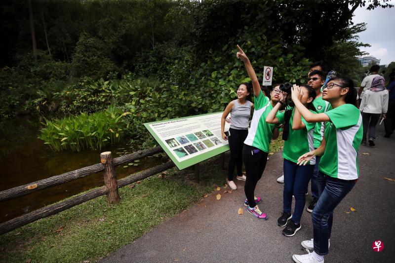 这群中学生昨天在肯特岗公园的“生物限时寻”活动,记录所发现的生物,当他们发现有鸟类飞过时,兴奋地拿出望远镜观望。 这群中学生昨天在肯特岗公园的“生物限时寻”活动,记录所发现的生物,当他们发现有鸟类飞过时,兴奋地拿出望远镜观望。