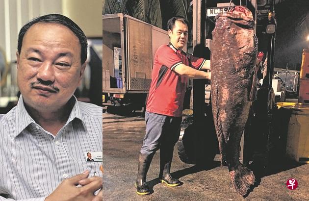 重达130公斤的龙趸鱼,长度甚至比成人的身高还长;昇菘董事经理林佑龙(左图)。 重达130公斤的龙趸鱼,长度甚至比成人的身高还长;昇菘董事经理林佑龙(左图)。