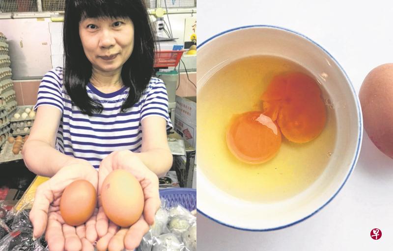 左图:蓝彩宁说,左边的是普通的鸡蛋,右边就是双黄蛋,体形比普通鸡蛋大。 右图:被视为“祥瑞食品”的双黄蛋。 左图:蓝彩宁说,左边的是普通的鸡蛋,右边就是双黄蛋,体形比普通鸡蛋大。 右图:被视为“祥瑞食品”的双黄蛋。