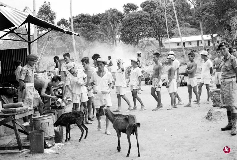 1960年代初期,英国殖民地政府把安乐岛开辟成拘留所,拘留犯可在岛上自由活动,四周不设铁蒺藜和铁丝网。(档案照) 1960年代初期,英国殖民地政府把安乐岛开辟成拘留所,拘留犯可在岛上自由活动,四周不设铁蒺藜和铁丝网。(档案照)