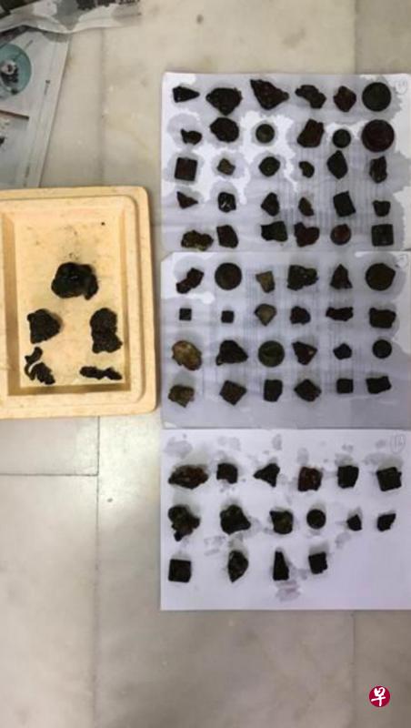 农粮局人员在进口商处所查获75个硬珊瑚和五个软珊瑚(左图,盒内)。非法进口的硬珊瑚(右图)是濒危物种,按照濒危物种(进口与出口)法令,进出口受CITES保护的野生动植物,以及它们的相关产品,必须获得执照。(农粮局和移民与关卡局提供) 农粮局人员在进口商处所查获75个硬珊瑚和五个软珊瑚(左图,盒内)。非法进口的硬珊瑚(右图)是濒危物种,按照濒危物种(进口与出口)法令,进出口受CITES保护的野生动植物,以及它们的相关产品,必须获得执照。(农粮局和移民与关卡局提供)