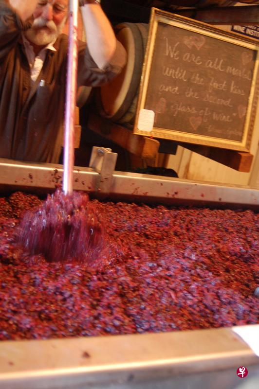 葡萄种植和采摘是确保葡萄酒品质的第一关,其后的一切得看酿酒师的功力,尤其是对酒精发酵程序的掌控。 ( Ian Brown提供) 葡萄种植和采摘是确保葡萄酒品质的第一关,其后的一切得看酿酒师的功力,尤其是对酒精发酵程序的掌控。 ( Ian Brown提供)