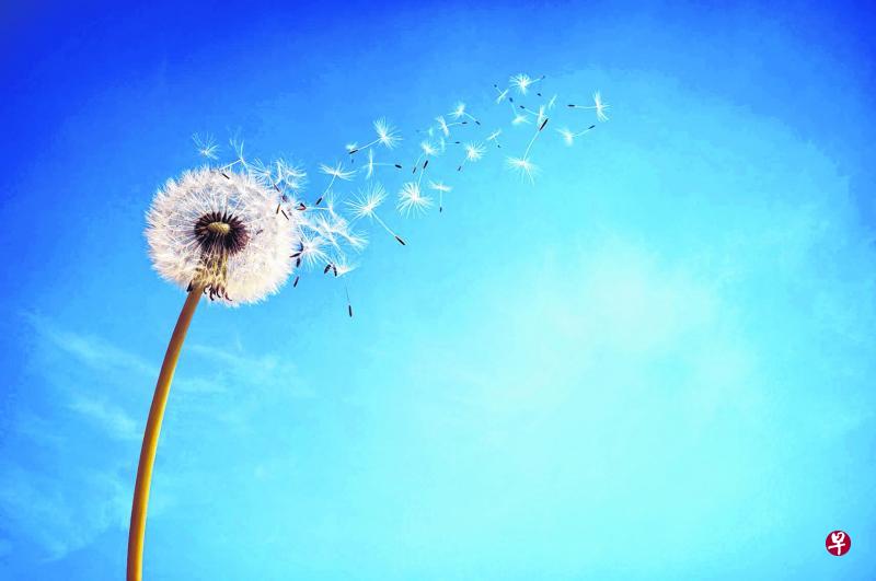 (iStock照片) (iStock照片)