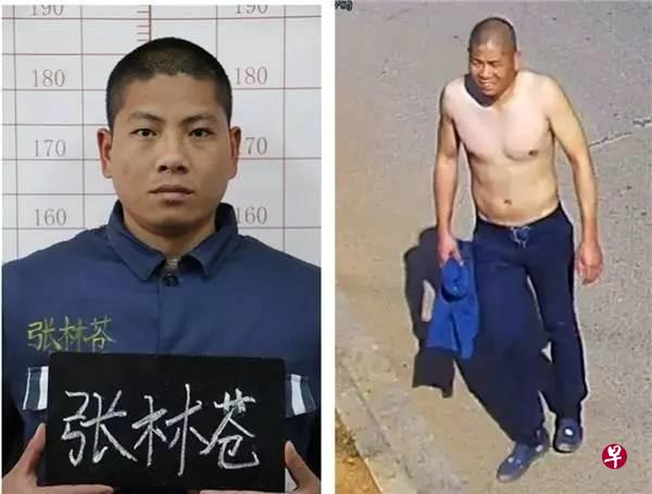 越狱犯张林苍今天(10日)被通报已经落网。(互联网) 越狱犯张林苍今天(10日)被通报已经落网。(互联网)