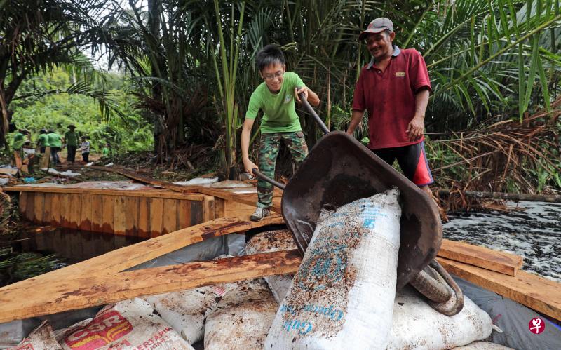 ▲本地非政府组织“人民抗烟霾行动”的义工(左)上周六在廖内省的双溪多河村,协助当地居民在泥炭地的水渠内建造小水坝,过程包括将装满泥炭的沙包堆在水坝两旁,防止泥炭地水分外流,保持湿润,减低泥炭地的易燃度。(林泽锐摄) ▲本地非政府组织“人民抗烟霾行动”的义工(左)上周六在廖内省的双溪多河村,协助当地居民在泥炭地的水渠内建造小水坝,过程包括将装满泥炭的沙包堆在水坝两旁,防止泥炭地水分外流,保持湿润,减低泥炭地的易燃度。(林泽锐摄)