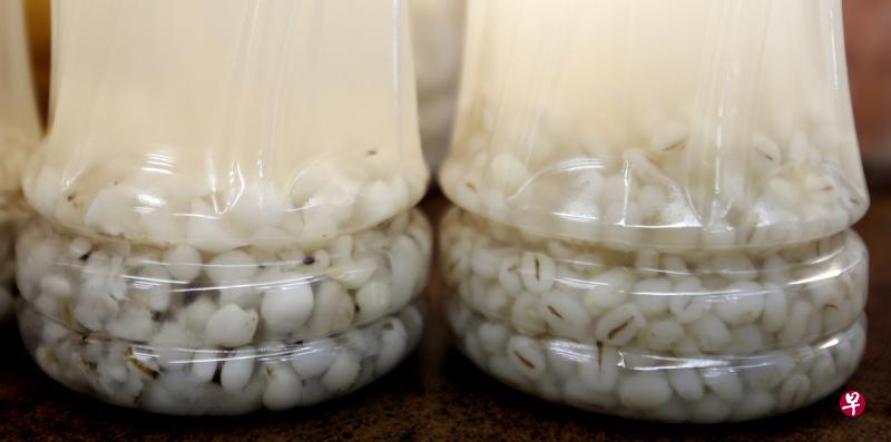 中国薏米(左)颗粒较大,煮出来的水没有洋薏米(右)那么浓稠,不过疗效比较好。(陈渊庄摄) 中国薏米(左)颗粒较大,煮出来的水没有洋薏米(右)那么浓稠,不过疗效比较好。(陈渊庄摄)