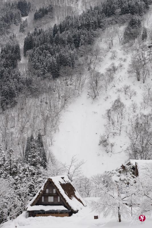 五个山相仓合掌造集落里的合掌屋。 五个山相仓合掌造集落里的合掌屋。
