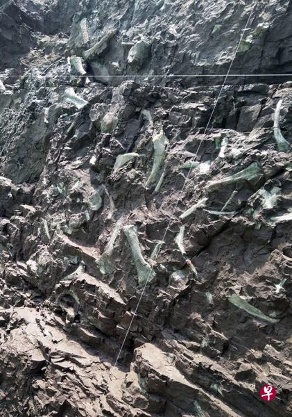 云阳普安长达150米的单体“恐龙化石墙”,在全世界范围内都十分罕见。(中新社) 云阳普安长达150米的单体“恐龙化石墙”,在全世界范围内都十分罕见。(中新社)