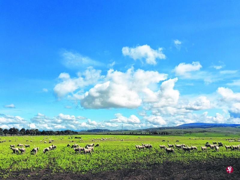 塔斯马尼亚宽广的草原。 塔斯马尼亚宽广的草原。