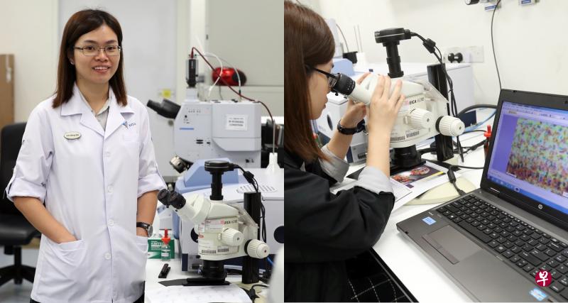 林馨敏专门进行文件鉴定,在显微镜下分析字迹、印刷术和印章等。 林馨敏专门进行文件鉴定,在显微镜下分析字迹、印刷术和印章等。