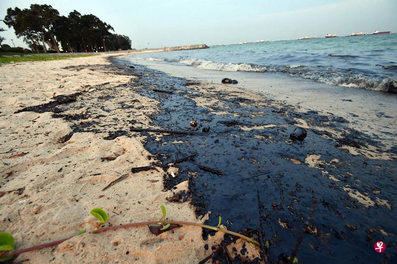 昨天东海岸公园约400米沙滩出现大片油渍。(海峡时报) 昨天东海岸公园约400米沙滩出现大片油渍。(海峡时报)