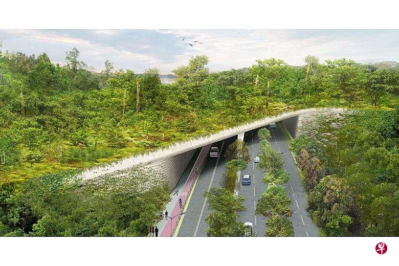 万礼生态园生态连道构想图。(万礼生态园控股提供) 万礼生态园生态连道构想图。(万礼生态园控股提供)