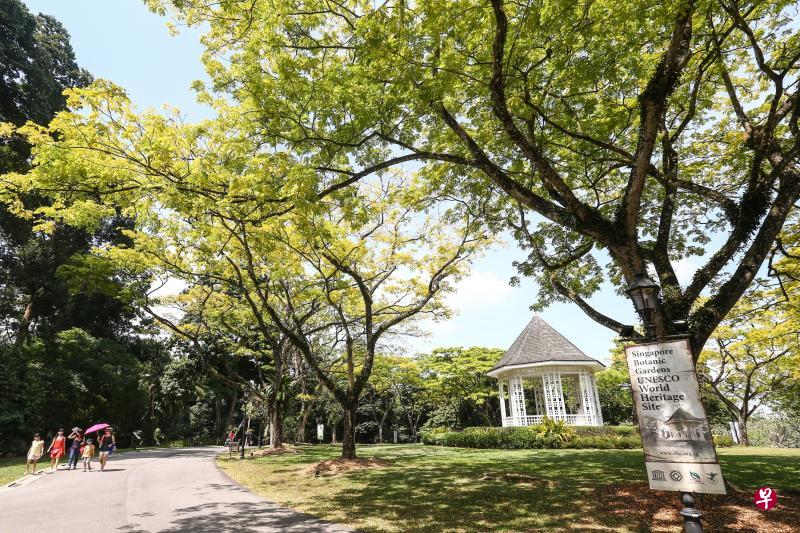 新加坡植物园 新加坡植物园