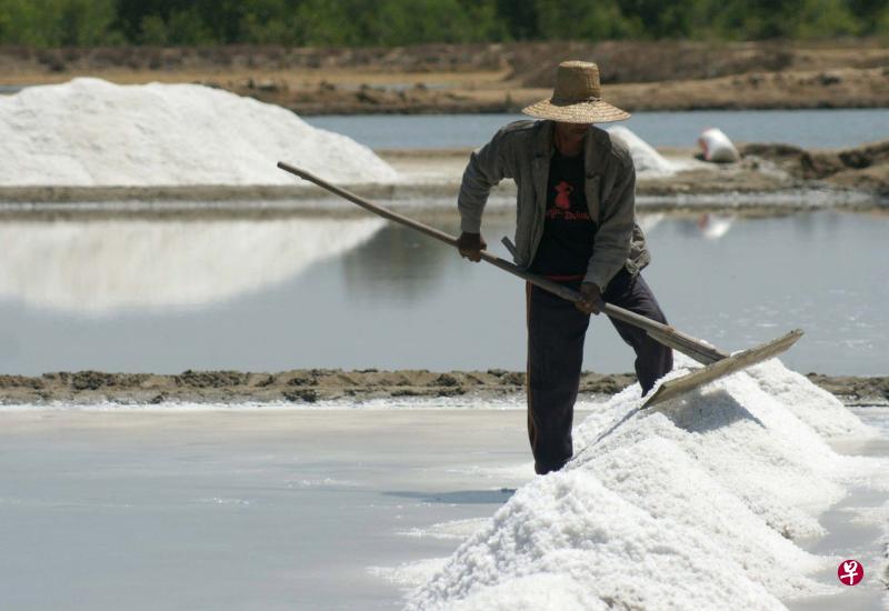 ▲印尼的盐田生产出来的盐很多都被雨水冲掉，图为东爪哇首府泗水的一个盐田。（雅加达邮报）