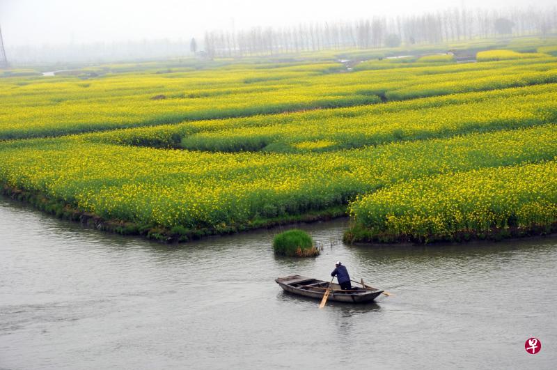 小船悠悠地在狭长的河道上无声的滑行,一种天人合一的平衡、空灵,一种与人间美好缱绻的存在感,使所有红尘的喧嚣,瞬间化为云淡风轻。 小船悠悠地在狭长的河道上无声的滑行,一种天人合一的平衡、空灵,一种与人间美好缱绻的存在感,使所有红尘的喧嚣,瞬间化为云淡风轻。