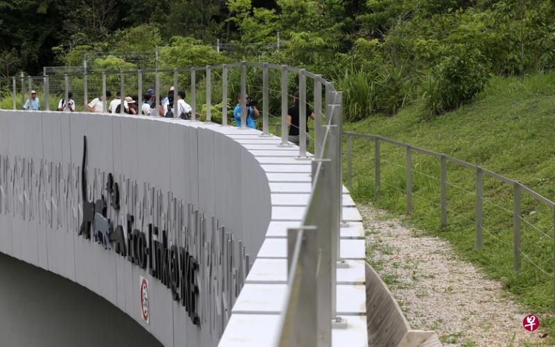 为了让更多动物能适应及使用武吉知马生态连道,公园局决定停办导览活动,也劝请公众不要擅自进入连道参观,好让稀有的本地动物品种能够落地生根。(档案照片) 为了让更多动物能适应及使用武吉知马生态连道,公园局决定停办导览活动,也劝请公众不要擅自进入连道参观,好让稀有的本地动物品种能够落地生根。(档案照片)