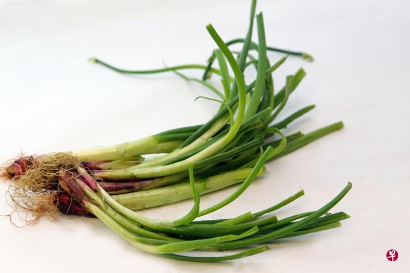 (档案照) (档案照)