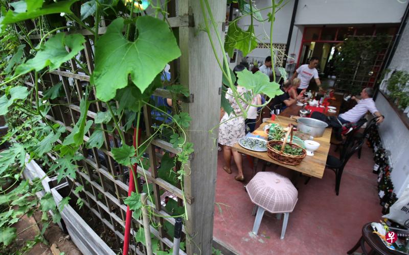 绿意盎然的独树艺屋。 绿意盎然的独树艺屋。