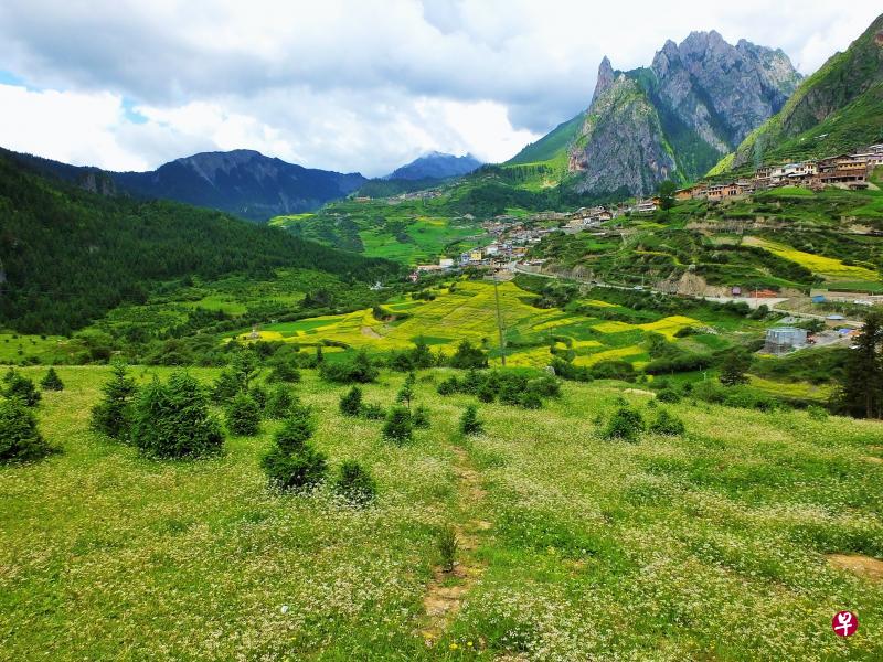 遍地野花的仙女滩可环看山色。