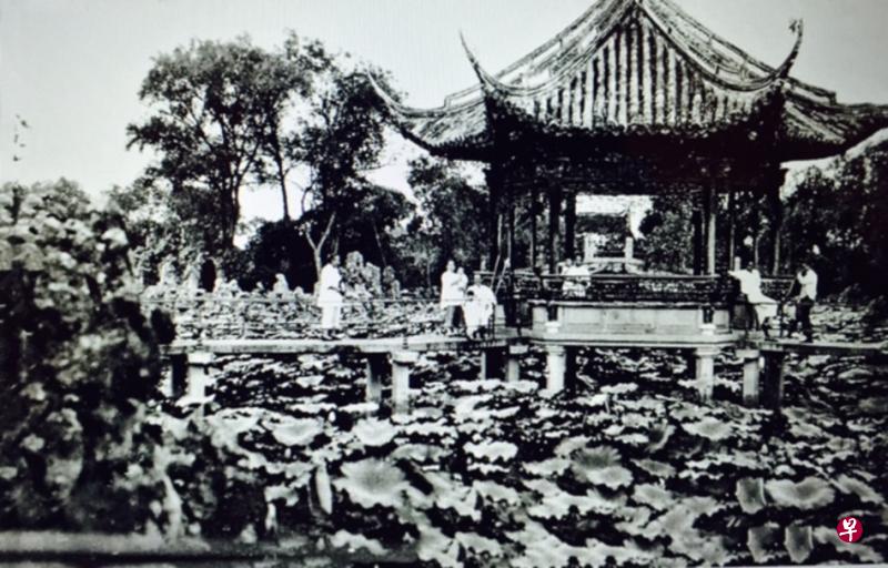 张荔英的南浔老家曾拥有大片莲池。（取自《细说张静江家族》一书）