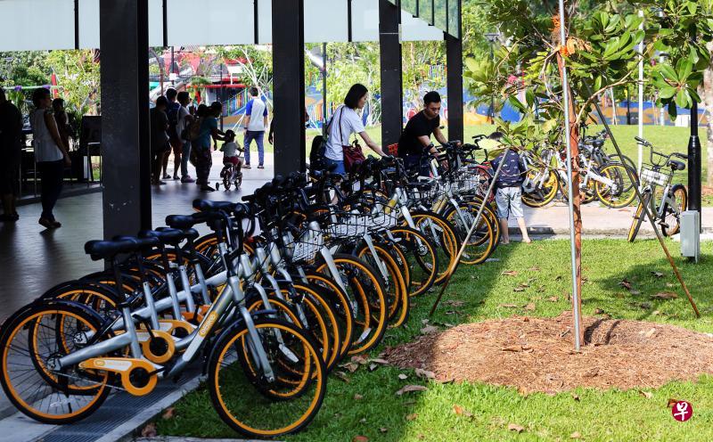 东海岸公园昨天出现许多共享脚踏车,其中Marina Cove的草坪和走道旁停放了数十辆共享脚踏车供公众使用。(陈斌勤摄) 东海岸公园昨天出现许多共享脚踏车,其中Marina Cove的草坪和走道旁停放了数十辆共享脚踏车供公众使用。(陈斌勤摄)