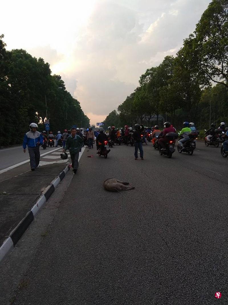 车祸发生在距离大士关卡约500公尺的路段。(取自面簿) 车祸发生在距离大士关卡约500公尺的路段。(取自面簿)