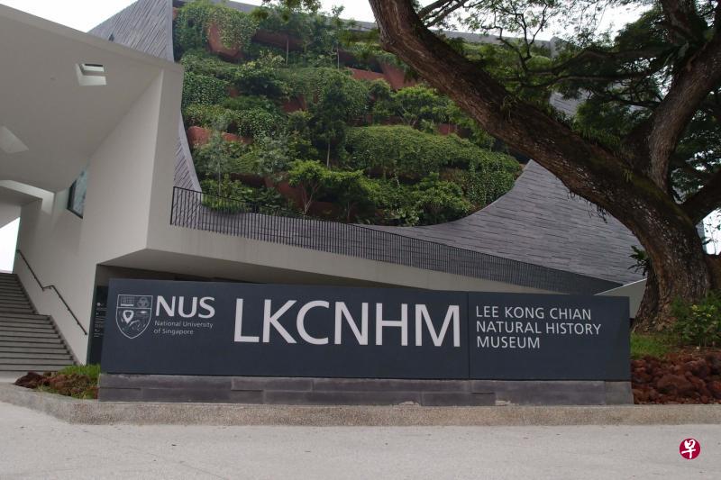 新加坡国立大学李光前自然历史博物馆　　国大属下的莱佛士生物多样性研究博物馆，为达到国家级博物馆水平，从2009年起展开扩充博物馆的筹款活动。　　李氏基金的2500万元捐赠大大推动这个梦想的实现，也让筹募总额达4600万元，比最初筹款目标3500万元高出许多。　　毗邻国大文化中心的自然历史博物馆，用两年多时间打造，2015年4月开幕。博物馆展览面积约2250平方公尺，公众可在馆内欣赏约2000件动植物标本，包括三副美国出土的恐龙化石，这几件“镇馆之宝”是博物馆以800多万元购得。（李光前自然历史博物馆提供）