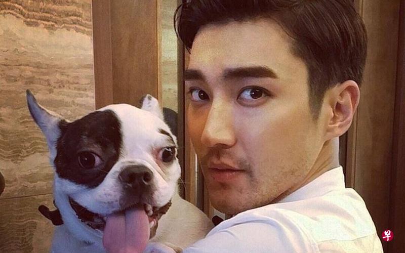 始源的法国斗牛犬Bugsy日前咬伤邻居,对方因败血症死亡。 始源的法国斗牛犬Bugsy日前咬伤邻居,对方因败血症死亡。