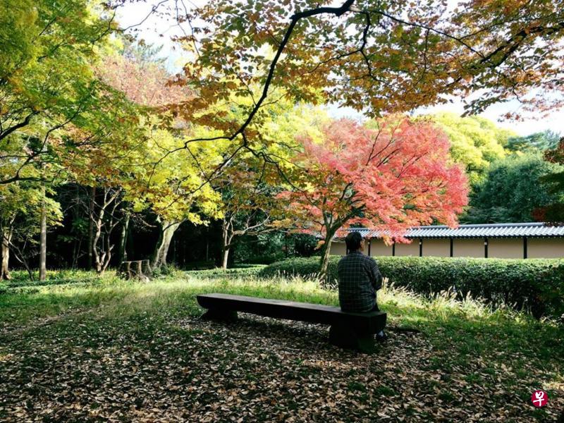 日本人热衷的“森林浴”,走进大自然吸收饱满的芬多精,不就是对瑞典人的“friluftsliv”的一种体现吗? 日本人热衷的“森林浴”,走进大自然吸收饱满的芬多精,不就是对瑞典人的“friluftsliv”的一种体现吗?