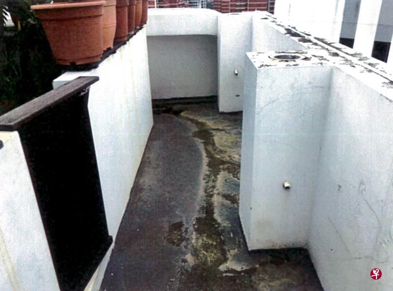 阁楼屋主在屋顶阳台墙壁,装了这道推拉门(左),结果引起官司。(法庭文件) 阁楼屋主在屋顶阳台墙壁,装了这道推拉门(左),结果引起官司。(法庭文件)