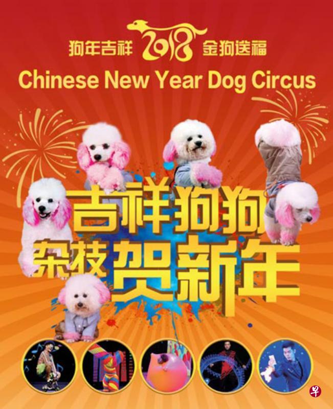 “吉祥狗狗杂技贺新年”一展开宣传,就被动物爱好者批评,主办方已决定暂停售票。(取自网站) “吉祥狗狗杂技贺新年”一展开宣传,就被动物爱好者批评,主办方已决定暂停售票。(取自网站)