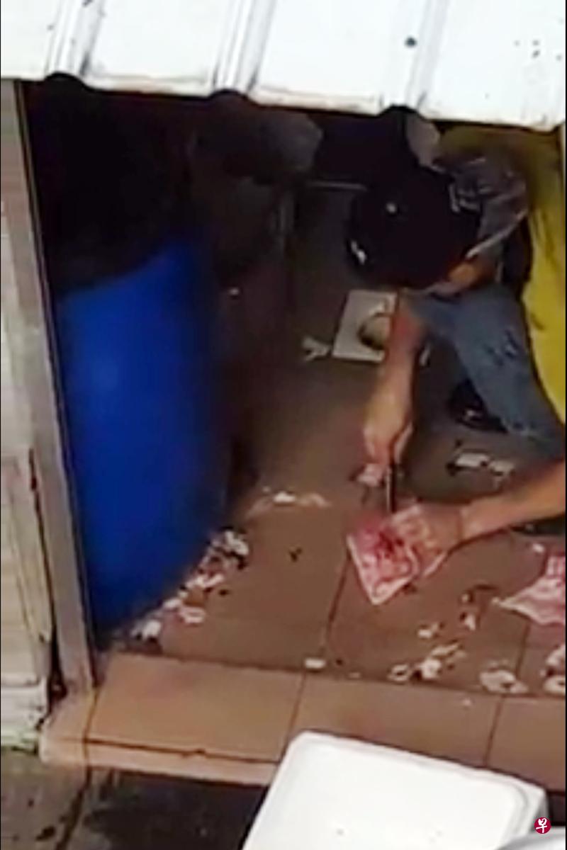 鱼头炉店的员工在地上去鱼鳞及切鱼肉,过程被拍下。(取自网络) 鱼头炉店的员工在地上去鱼鳞及切鱼肉,过程被拍下。(取自网络)