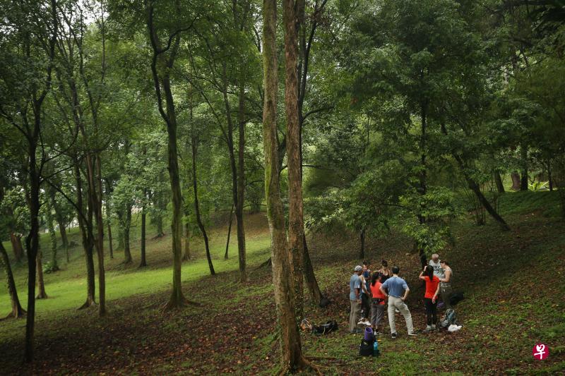 在福康宁公园体验森林浴,导师邀请大家把树林想象成自己的游乐场。 在福康宁公园体验森林浴,导师邀请大家把树林想象成自己的游乐场。
