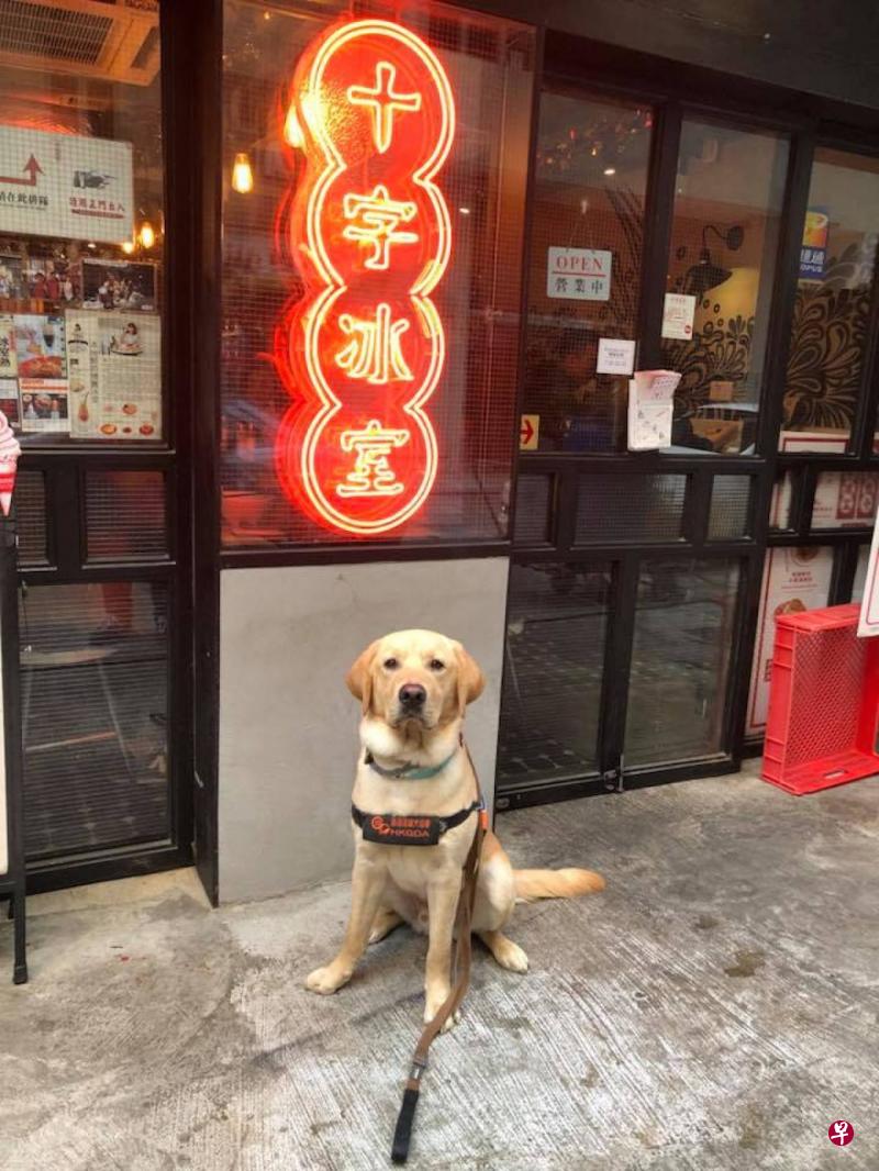 香港一市民25日带导盲犬到西环一间餐厅用餐时被拒之门外。(Facebook) 香港一市民25日带导盲犬到西环一间餐厅用餐时被拒之门外。(Facebook)