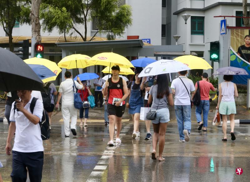 三巴旺共享雨伞计划进一步扩大范围,更多居民过马路时可借雨伞避开日晒雨淋。(邬福梁摄) 三巴旺共享雨伞计划进一步扩大范围,更多居民过马路时可借雨伞避开日晒雨淋。(邬福梁摄)