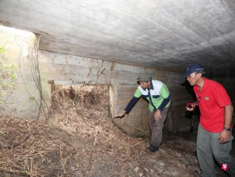 沙哈隆(左)认为怡保苏丹阿兹兰沙机场附近空地的这座防空洞,是当地历来发现的最大防空洞。(东方日报) 沙哈隆(左)认为怡保苏丹阿兹兰沙机场附近空地的这座防空洞,是当地历来发现的最大防空洞。(东方日报)