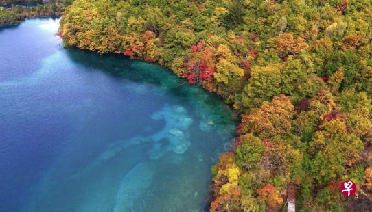 图为震后九寨沟卧龙海秋色。 图片来源:视觉中国 图为震后九寨沟卧龙海秋色。 图片来源:视觉中国