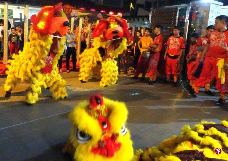 马来西亚特制世界第一对“福犬”舞狗表演,令人大开眼界。(星洲日报) 马来西亚特制世界第一对“福犬”舞狗表演,令人大开眼界。(星洲日报)